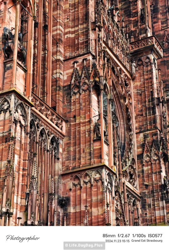 1491765548703_.pic_hd