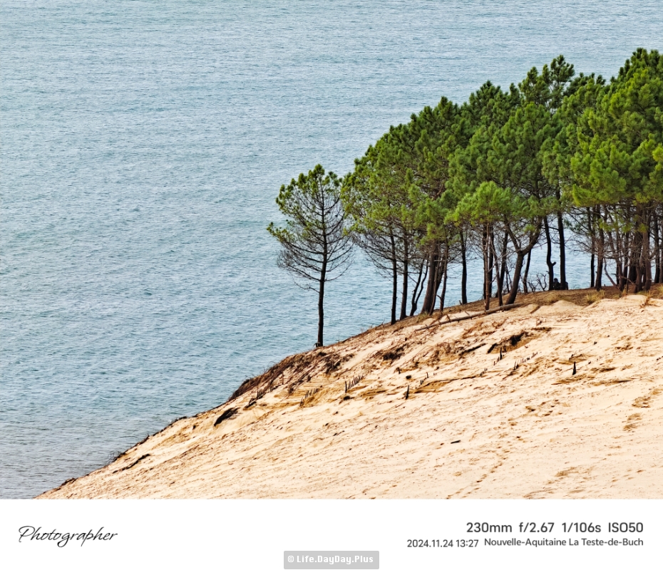 1471765548700_.pic_hd