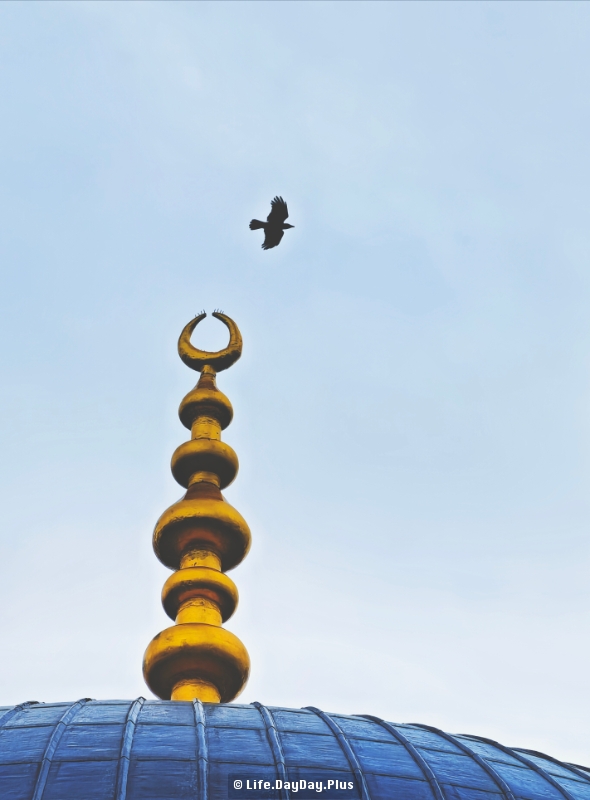 1601765548722_.pic_hd