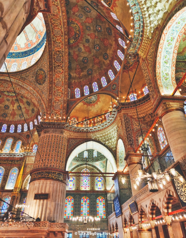 1611765548724_.pic_hd