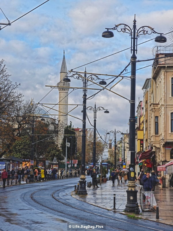 1651765548731_.pic_hd