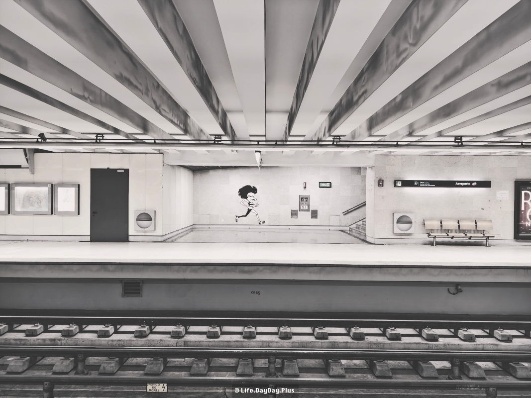 1731765548743_.pic_hd