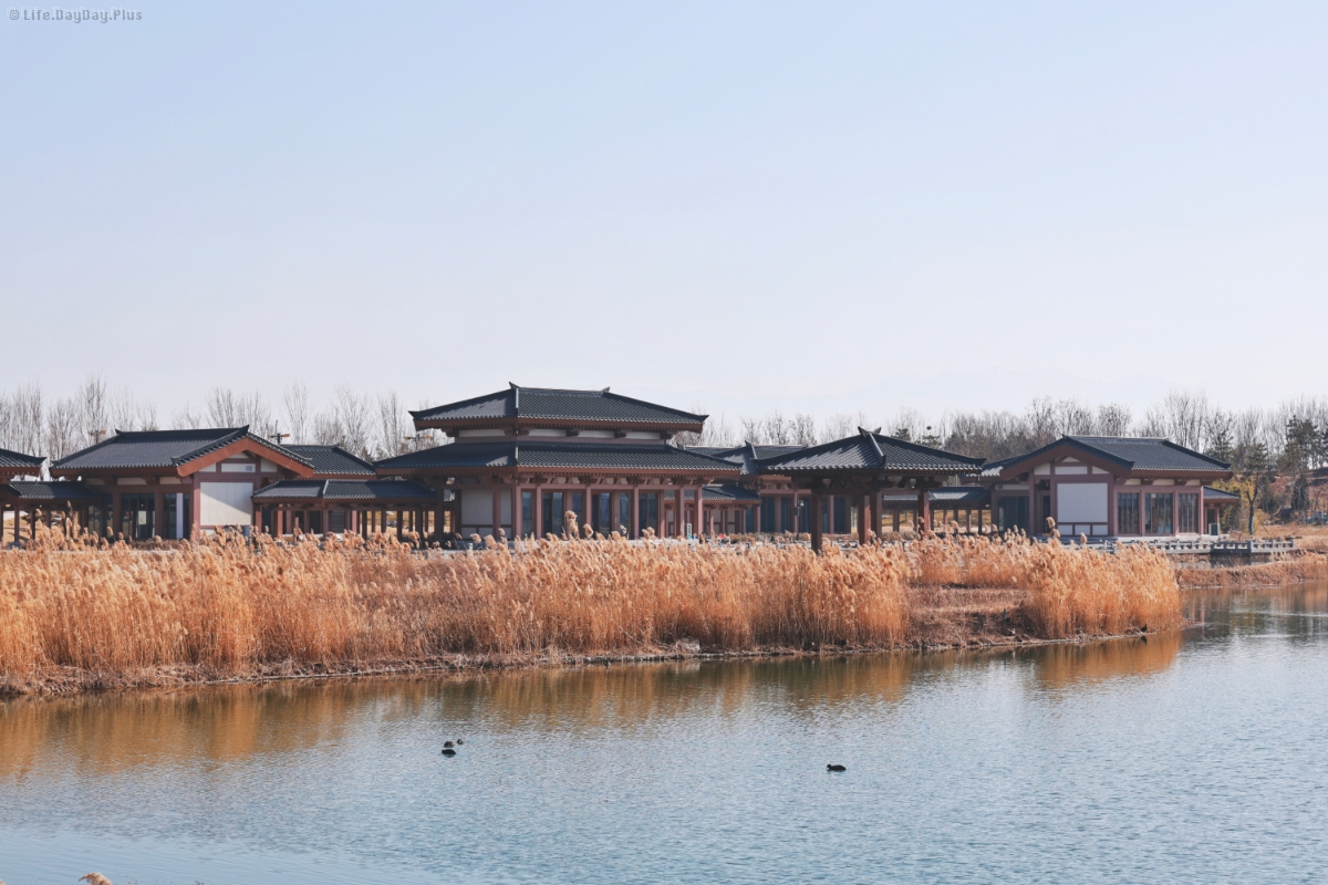 昆明池边的仿古建筑