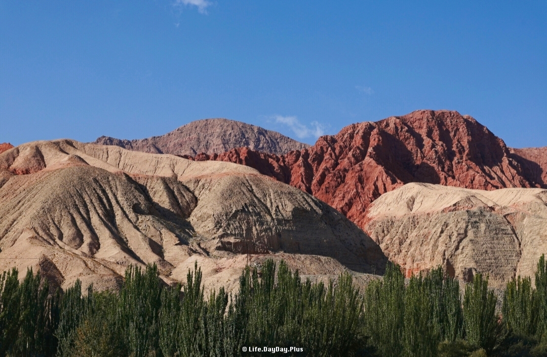 1921765552019_.pic_hd