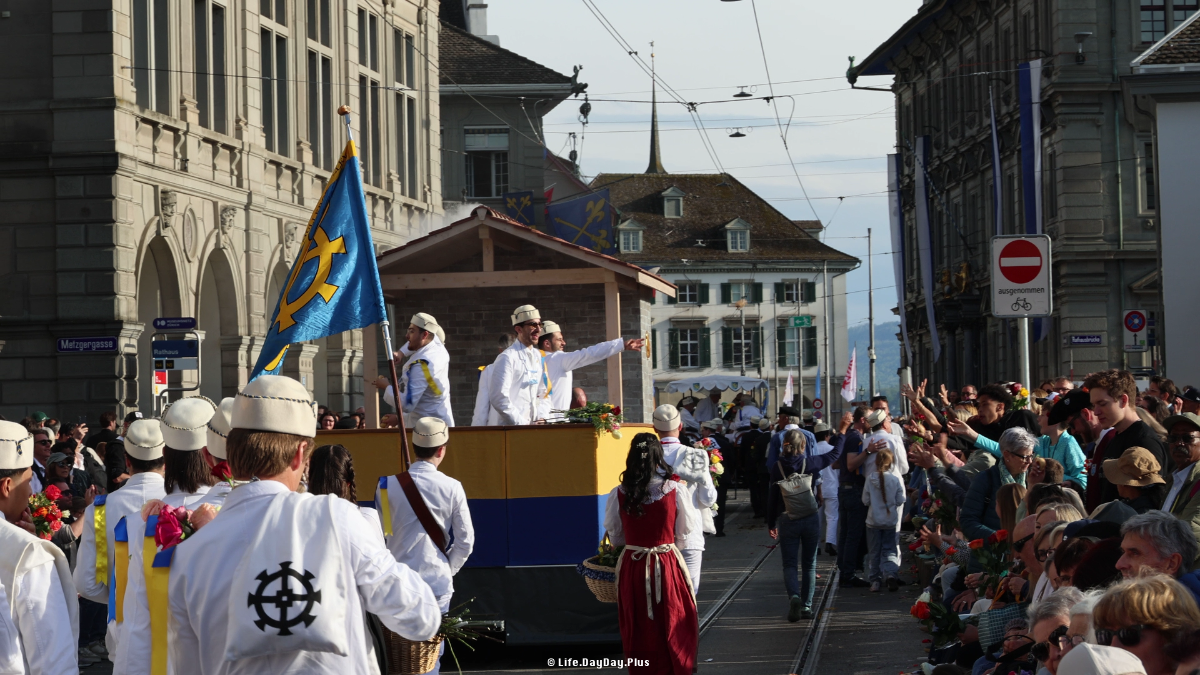 MVI_5393_1776777012722