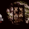 墙上乌镇光影